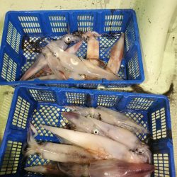 海龍丸（石川） 釣果