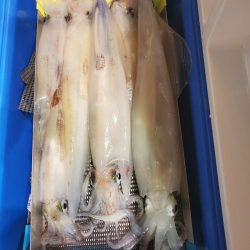 海龍丸（石川） 釣果