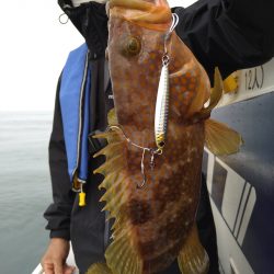 光生丸 釣果