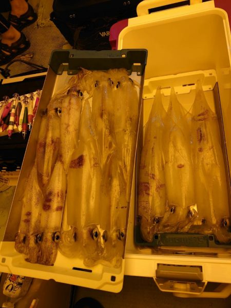 海龍丸（石川） 釣果