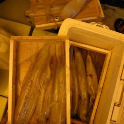 海龍丸（石川） 釣果