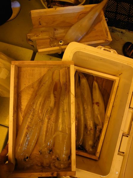 海龍丸（石川） 釣果