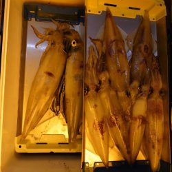 海龍丸（石川） 釣果