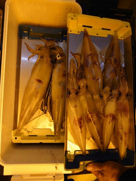 海龍丸（石川） 釣果