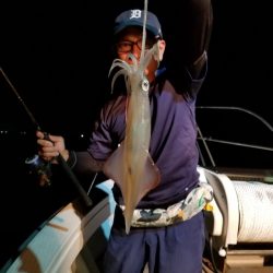 アマテラス 釣果