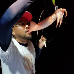 アマテラス 釣果