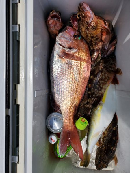 富士丸 釣果
