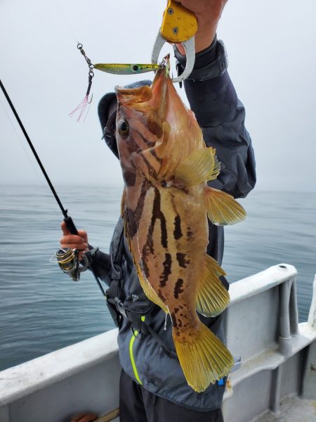 一華丸 釣果