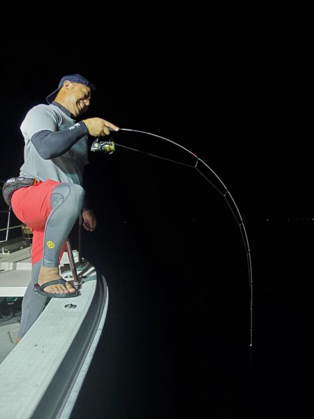 シーライオン 釣果