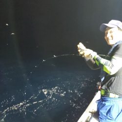 シーライオン 釣果