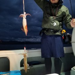 アマテラス 釣果