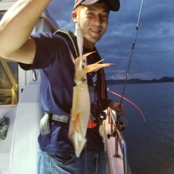 アマテラス 釣果