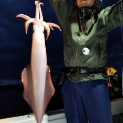 アマテラス 釣果