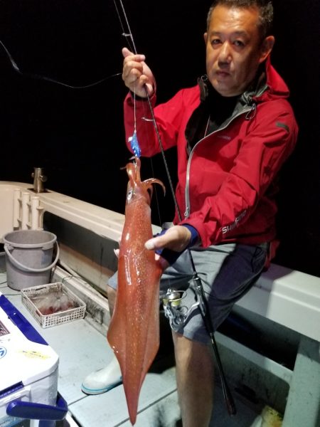 アマテラス 釣果