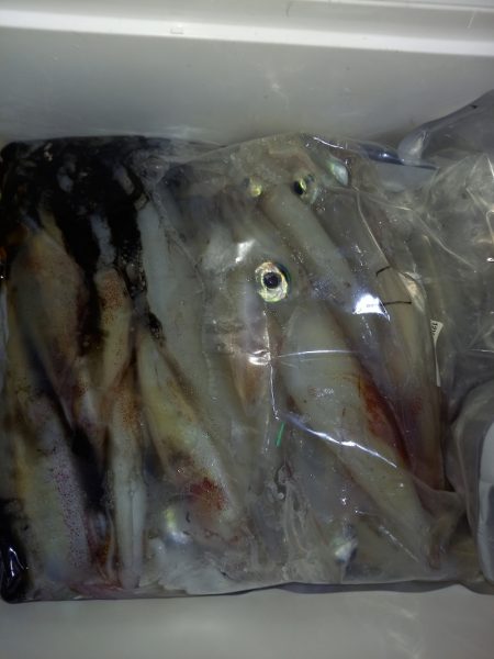 第二龍勢丸 釣果