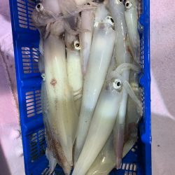 海龍丸（石川） 釣果