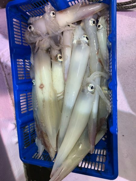 海龍丸（石川） 釣果