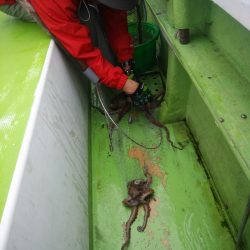 金沢八景鴨下丸 釣果