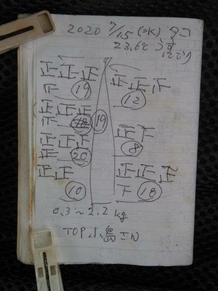 金沢八景鴨下丸 釣果