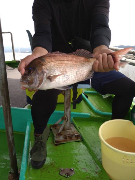 小島丸 釣果