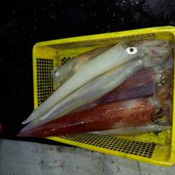 第二龍勢丸 釣果