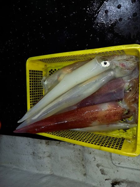 第二龍勢丸 釣果