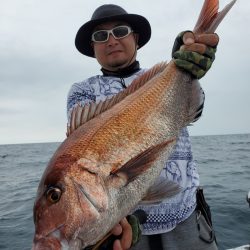 シーライオン 釣果