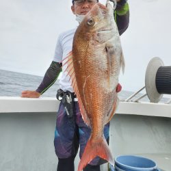 シーライオン 釣果