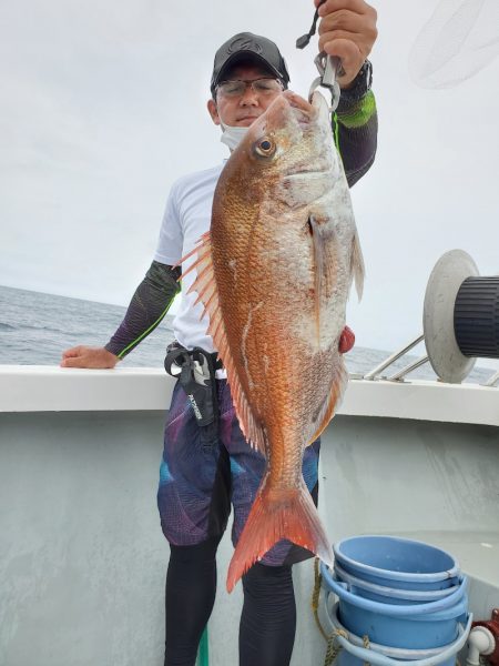 シーライオン 釣果