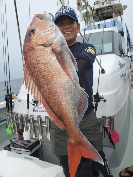シーライオン 釣果