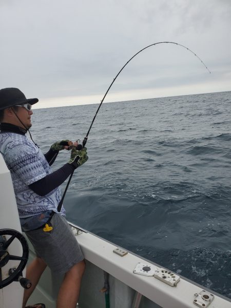 シーライオン 釣果