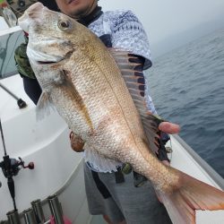 シーライオン 釣果