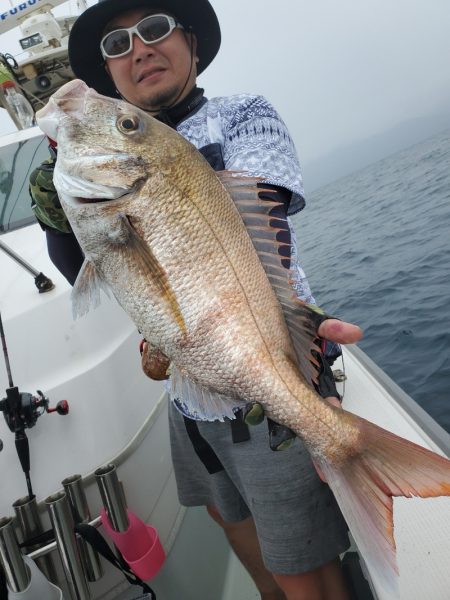 シーライオン 釣果