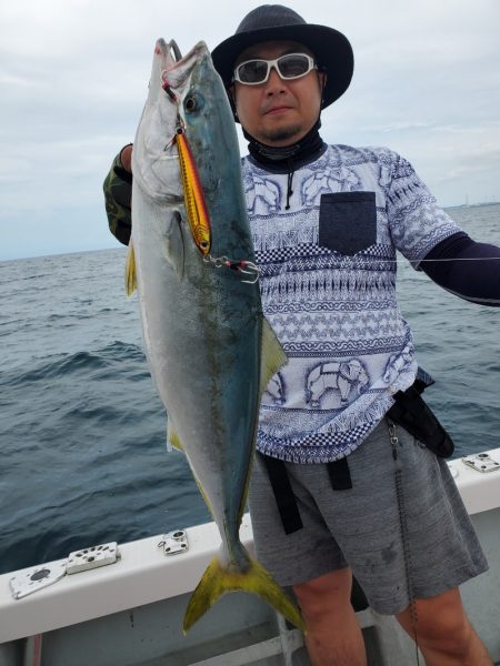 シーライオン 釣果