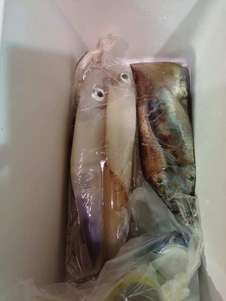 海龍丸（石川） 釣果