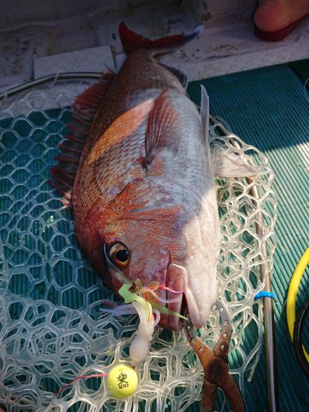 鷹王丸 釣果