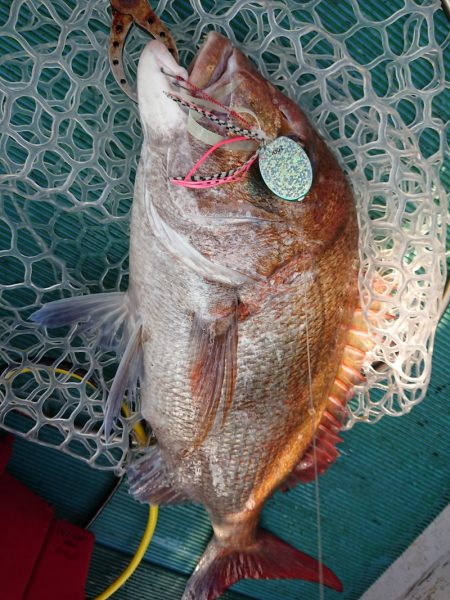 鷹王丸 釣果