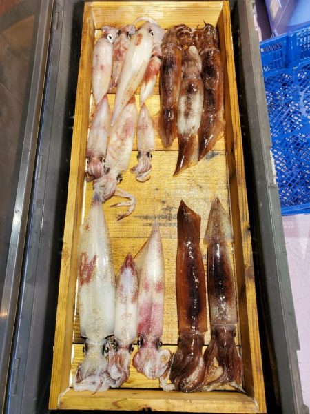 海龍丸（石川） 釣果