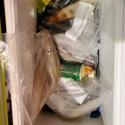 海龍丸（石川） 釣果