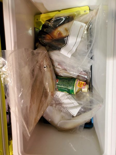 海龍丸（石川） 釣果