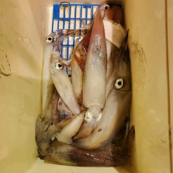 海龍丸（石川） 釣果