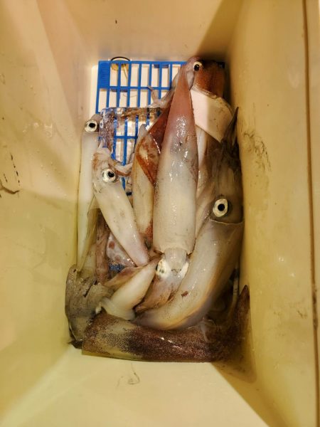 海龍丸（石川） 釣果