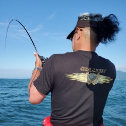 シーライオン 釣果