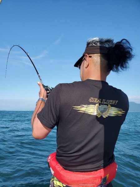 シーライオン 釣果