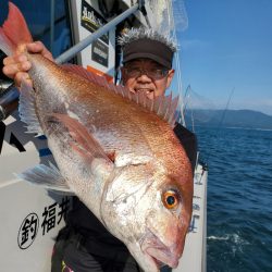 シーライオン 釣果