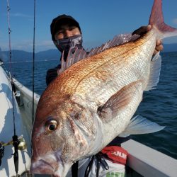 シーライオン 釣果