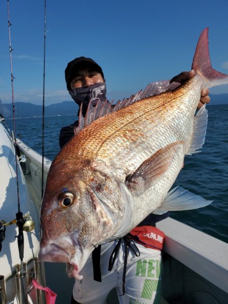 シーライオン 釣果