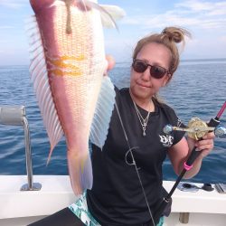 ARCADIAⅡ (アルカディアⅡ) 釣果