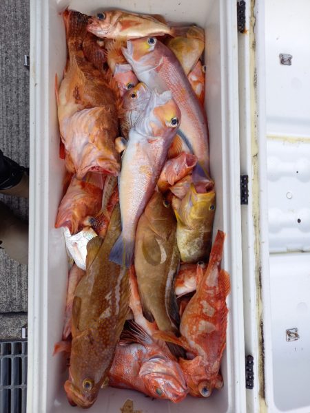 第二龍勢丸 釣果