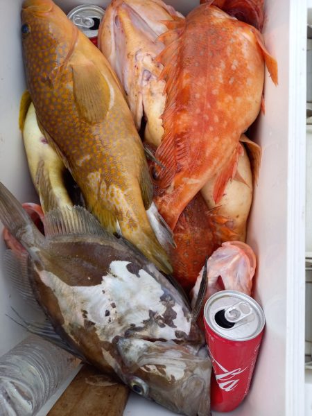 第二龍勢丸 釣果